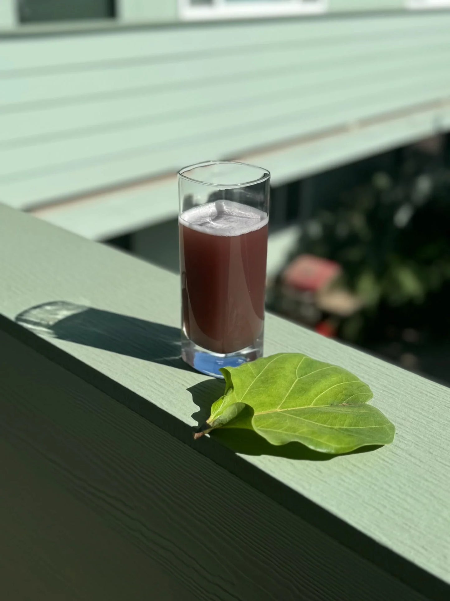 Gentle Prebiotic Fiber