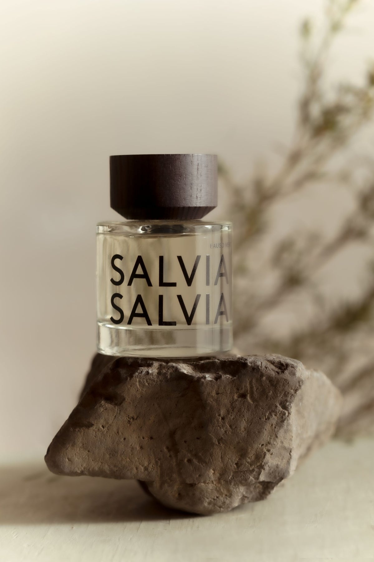 Salvia Salvia