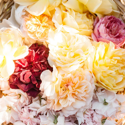 Rose Hydrosol