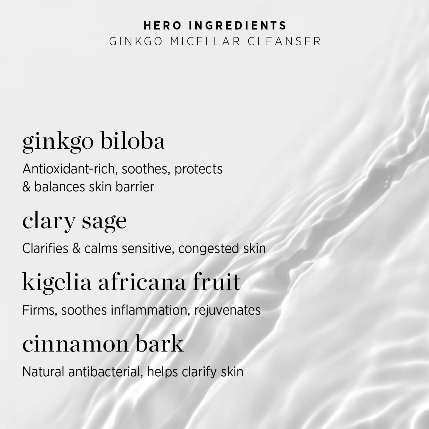 Ginkgo Micellar Cleanser