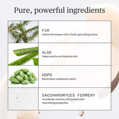 Forest Fix Deodorant
