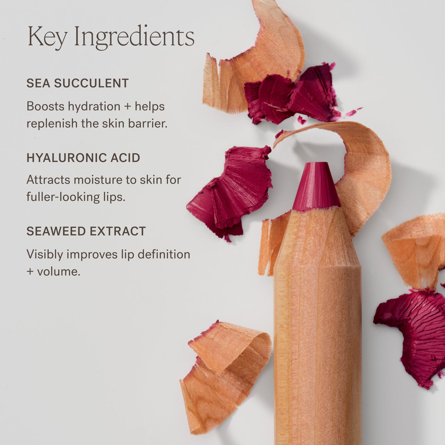 The Mini Lip Sketch Duo