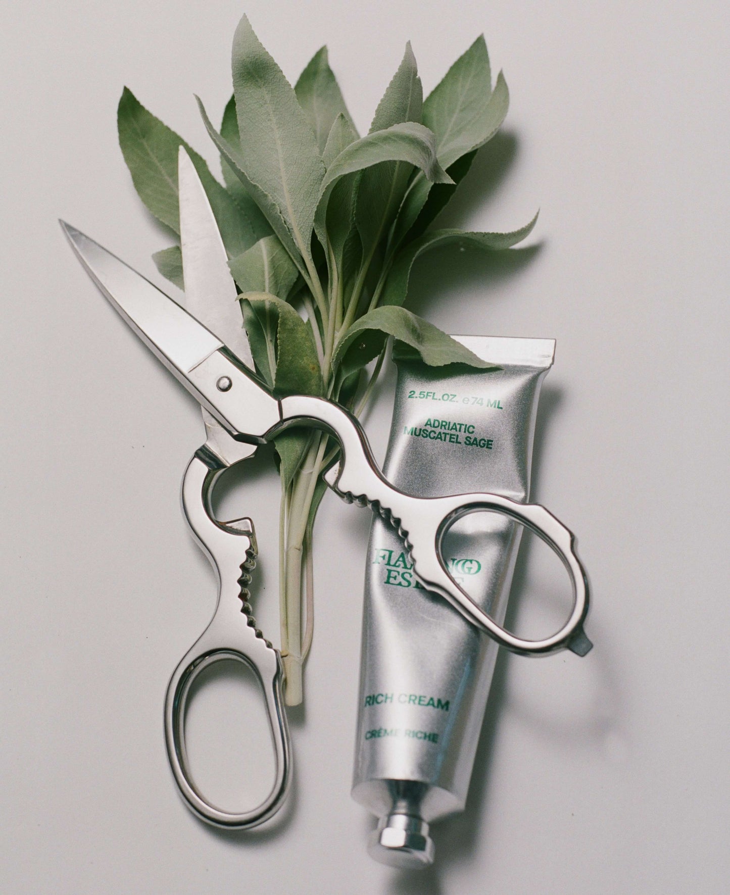 Sage Rich Cream