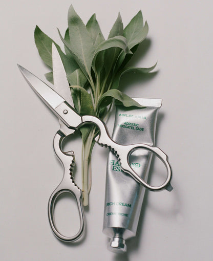 Sage Rich Cream