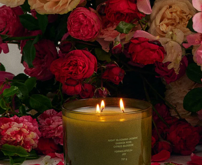 The Jasmine & Rose XL Candle