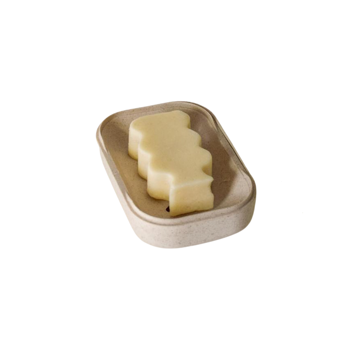 Biodegradable Soap Case