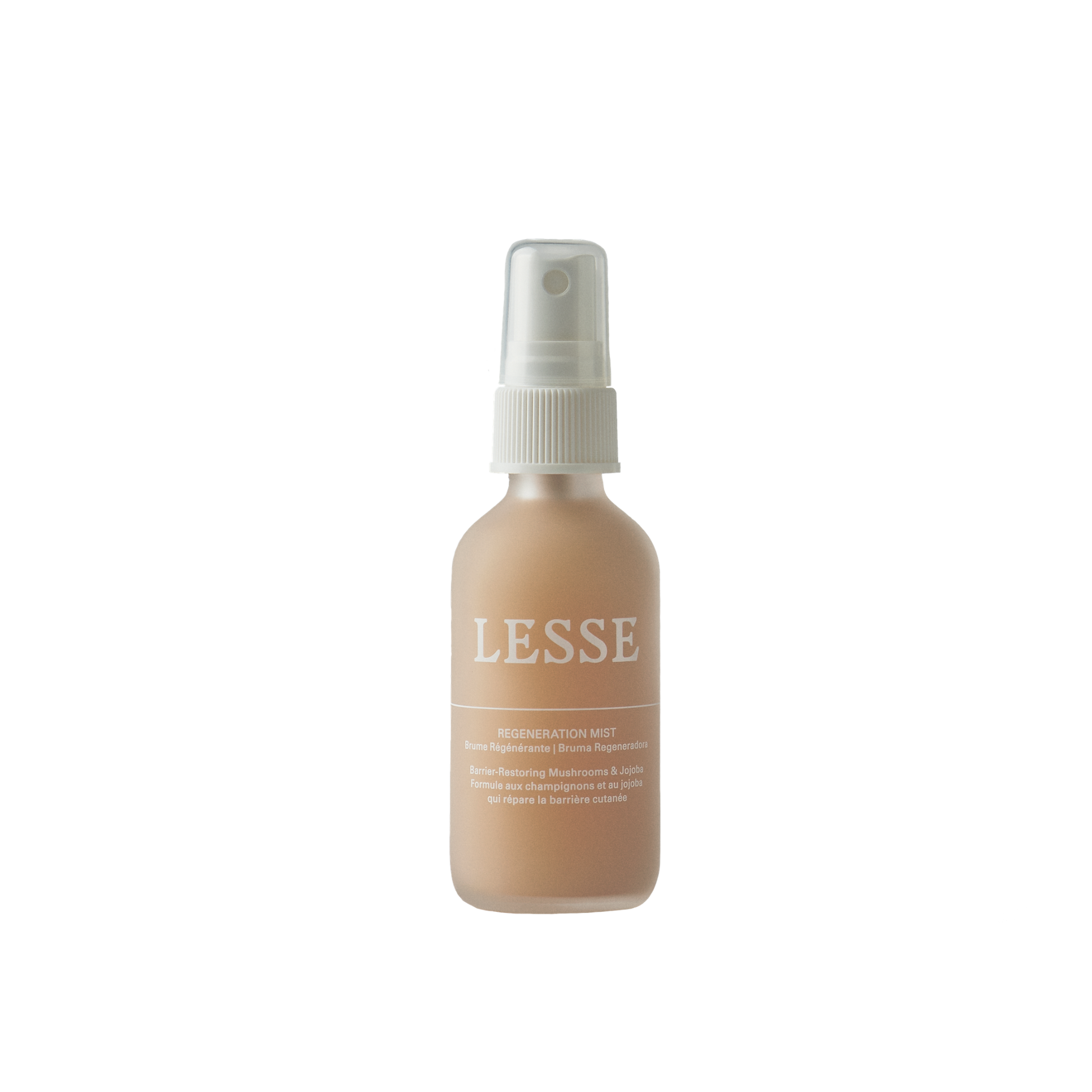 lesse_regeneration_mist_hero2