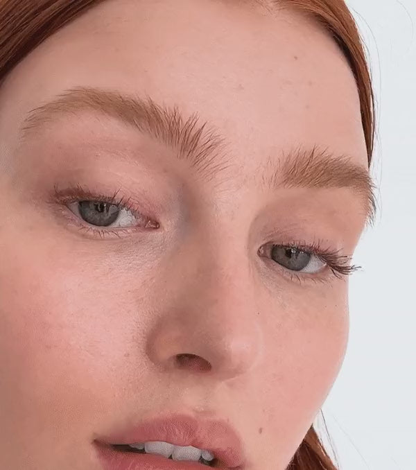 Le Brun Clean
