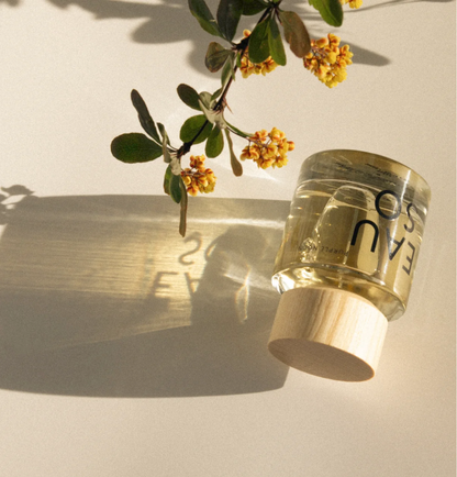 A clear perfume jar filled with pale yellow liquid, featuring black text and a light wood cap, styled on a warm beige surface with a leafy branch casting a shadow.