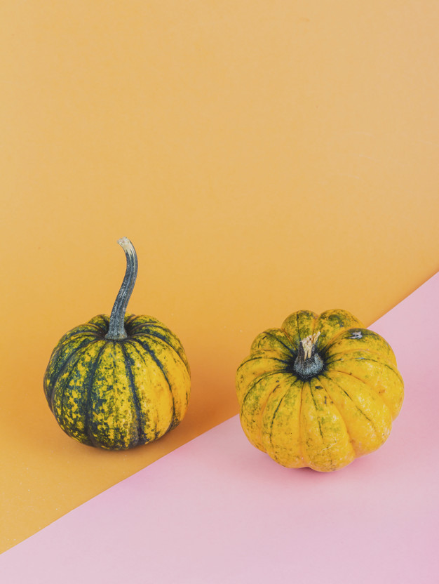 A pair of small pumpkins on yellow and pink background